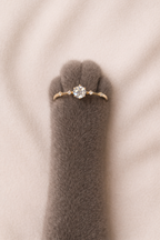 The Gold Everlight Ring