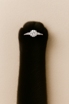 La Promesse Éternelle Ring