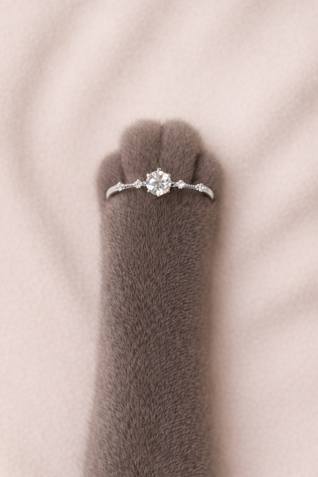 The Silver Everlight Ring