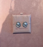 The Lumière Pearl Petal Studs